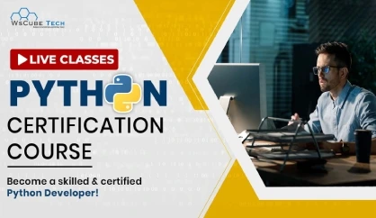 Online Python Course